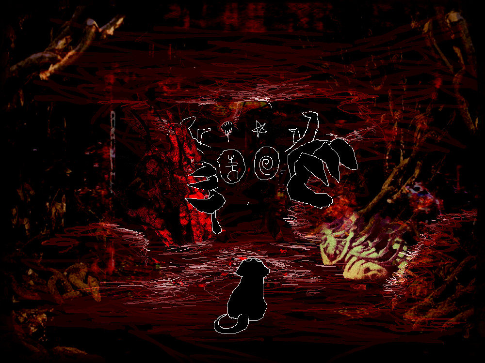 envy finds a stray hiding away